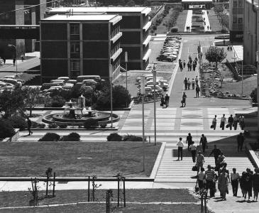 Archival black and white photo of the Mall on the Kensington campus